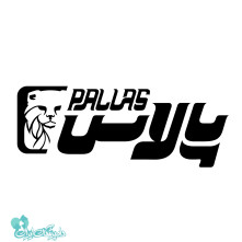 دکتر دیبایی