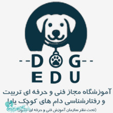 یاوری
