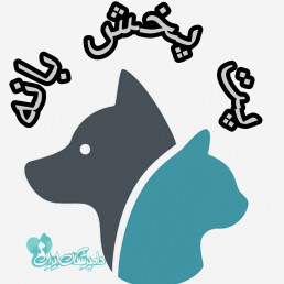 شرکت پت پخش بانه عبدالهی