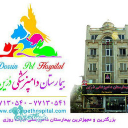دکتر حسینیان دکتر ایرانی نژاد