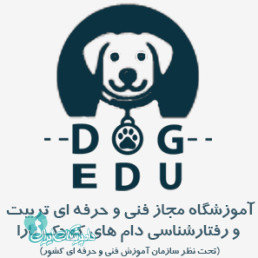 یاوری