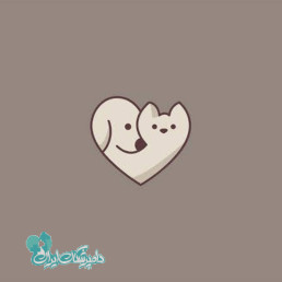الناز قلیزاده