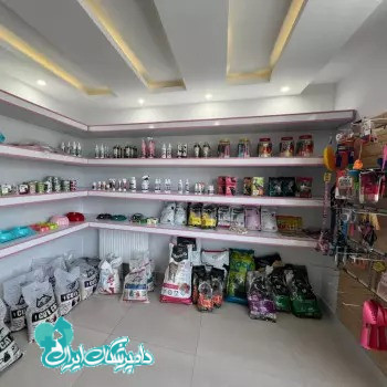 دکتر خمسیان