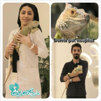 دکتر حسینیان دکتر ایرانی نژاد