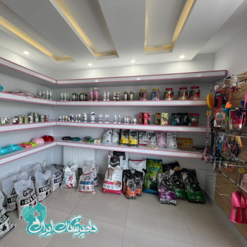 محدثه خمسیان