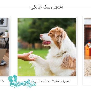 یاوری
