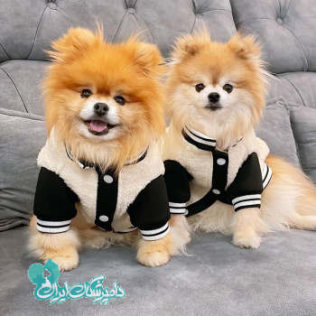 مهدوی