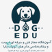 آموزشگاه سگ یارا